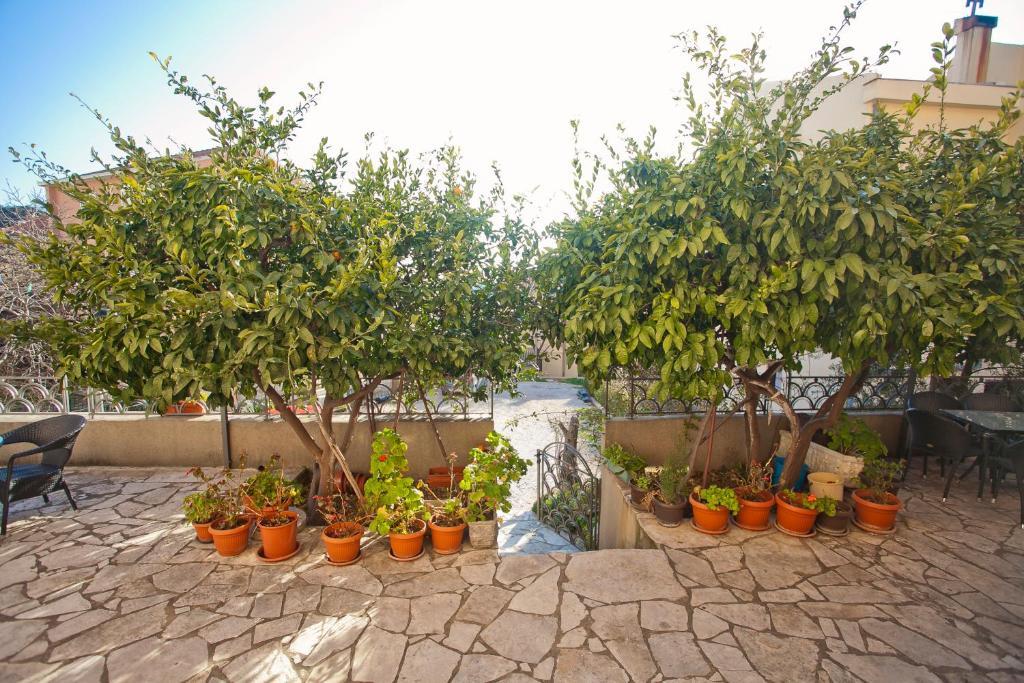 Apartments Andric Petrovac Dış mekan fotoğraf